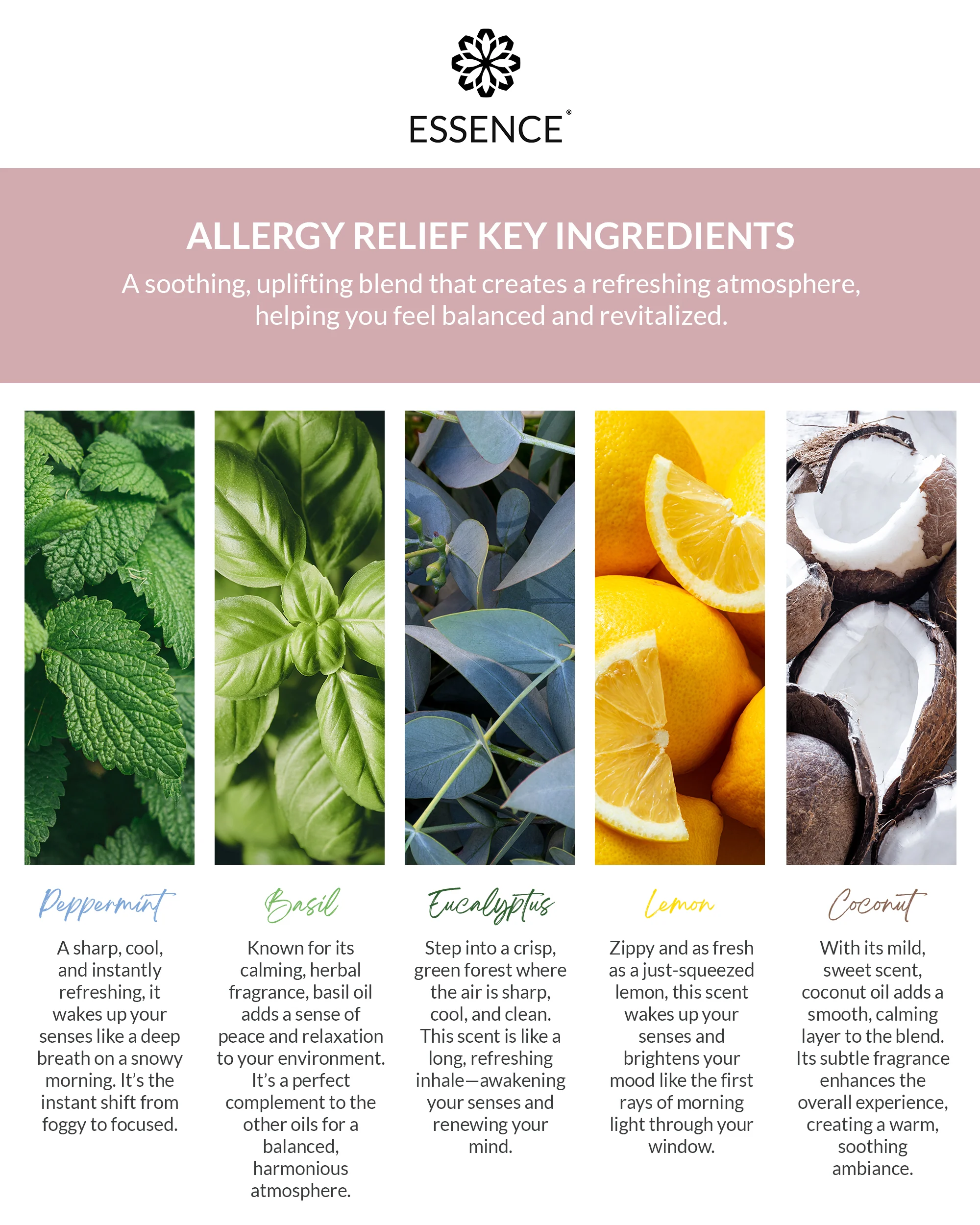 Allergy Relief Nasal Diffuser Ring - Image 5