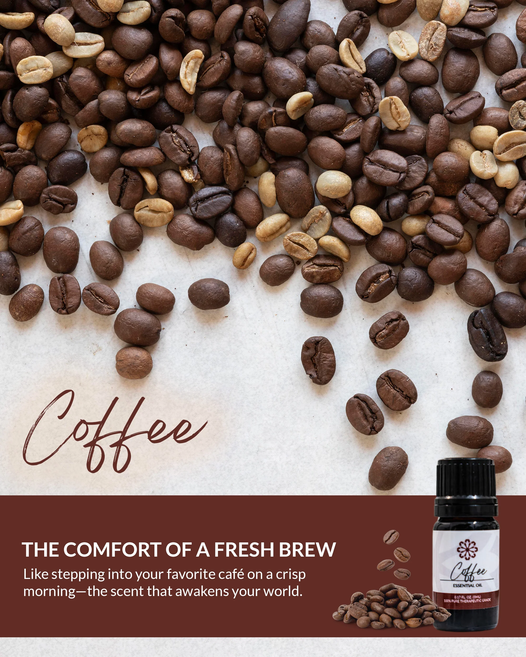 Coffee Essential Oil 5ml - Energizing & Uplifting - Image 4