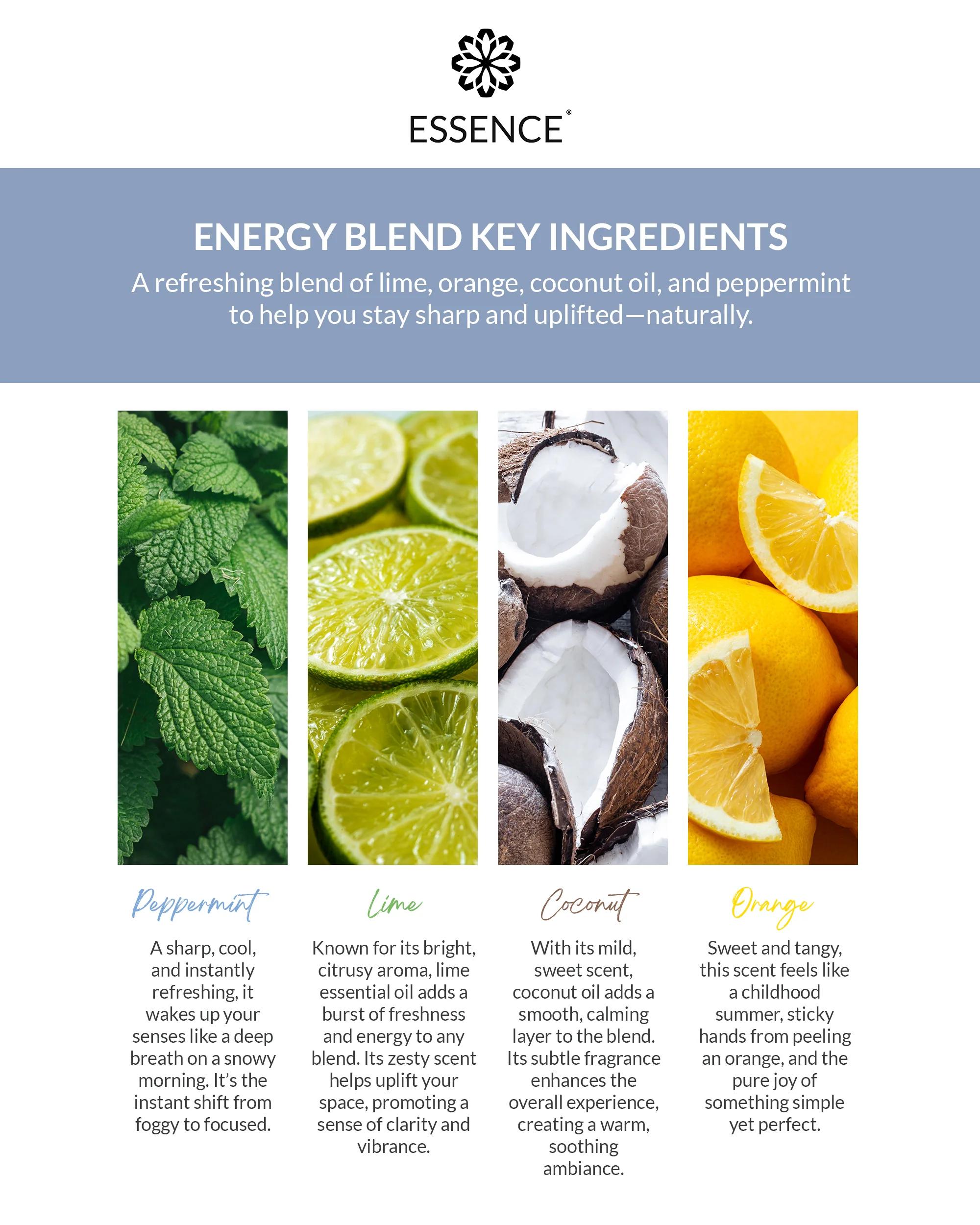 Energy Blend Nasal Diffuser Ring - Image 5