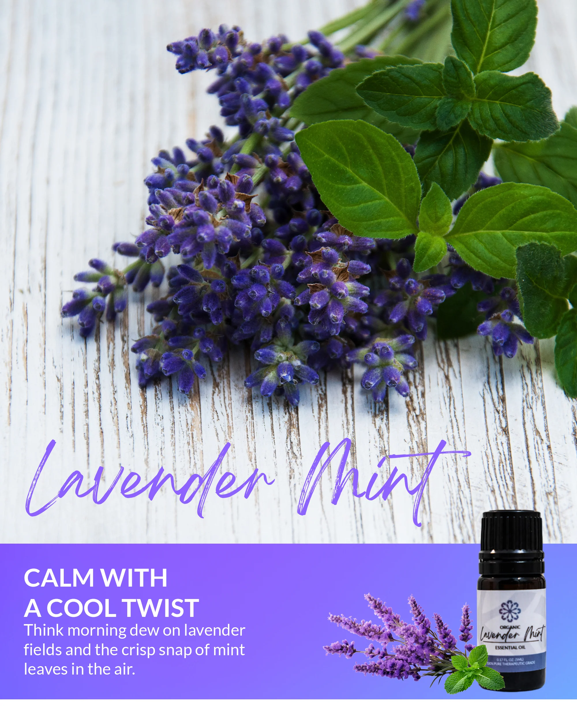 Lavender Mint Essential Oil – 5 mL Bottle Soothing Relaxation Meets Refreshing Vitality - Image 4