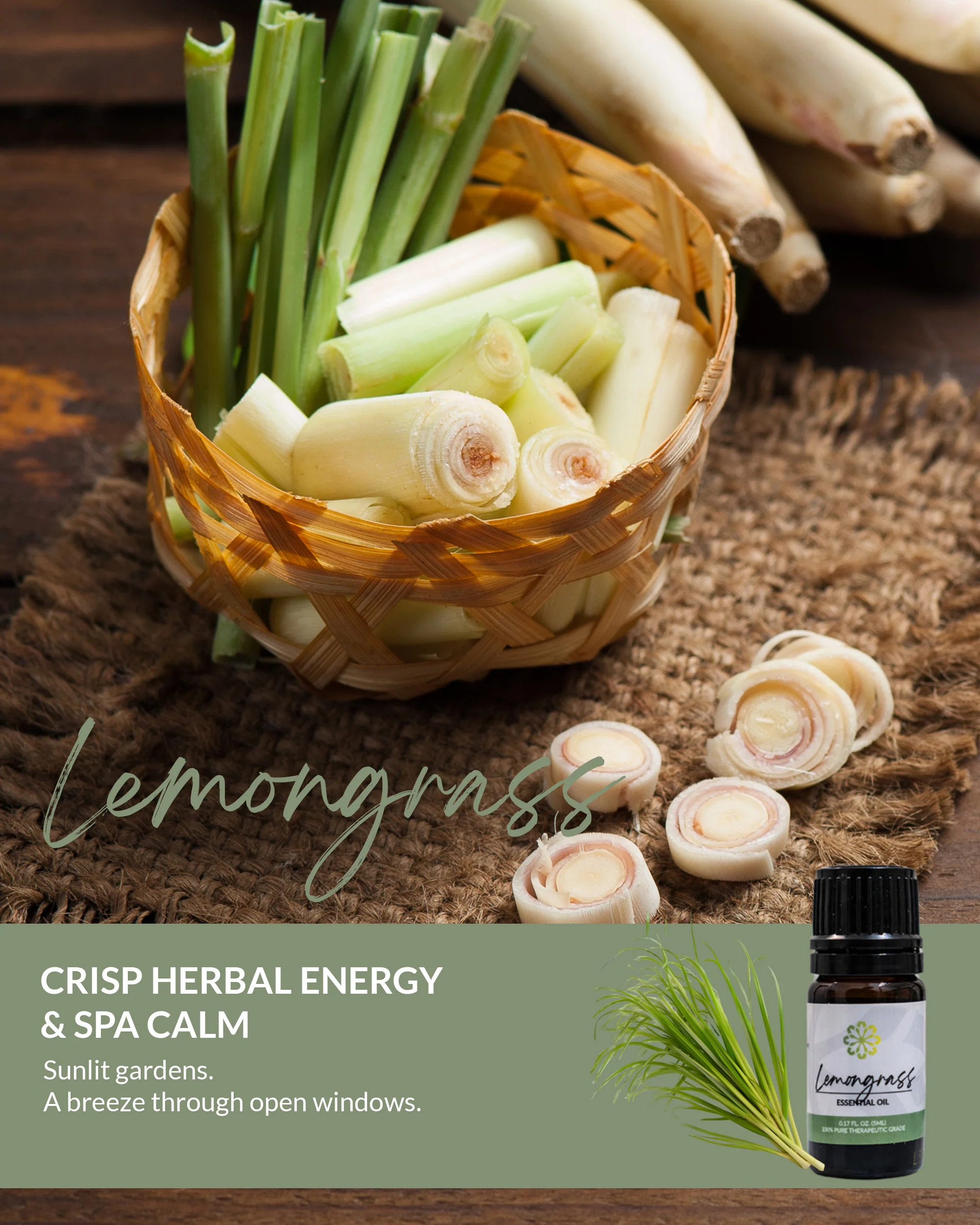 Lemongrass Essential Oil 5mL - Pure, Therapeutic Grade for Natural Uplift and Wellness - Image 4