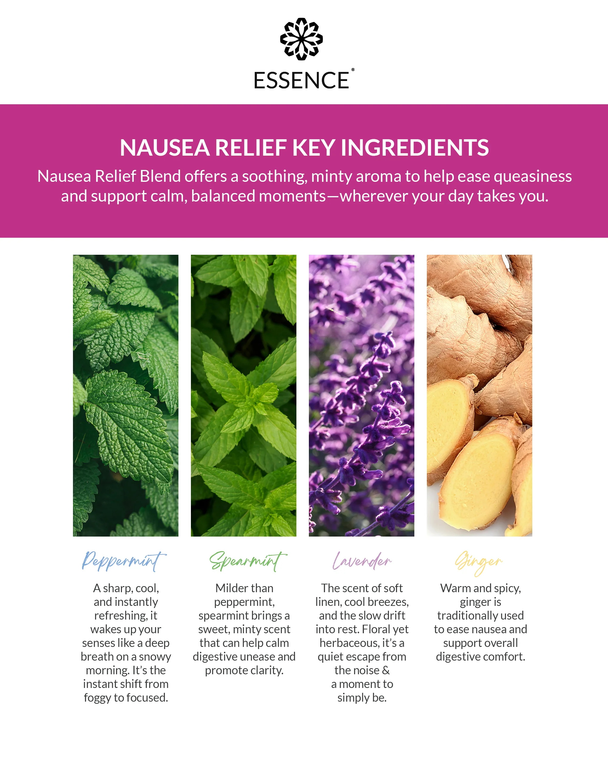 Nausea Relief Blend Nasal Diffuser Ring - Image 5