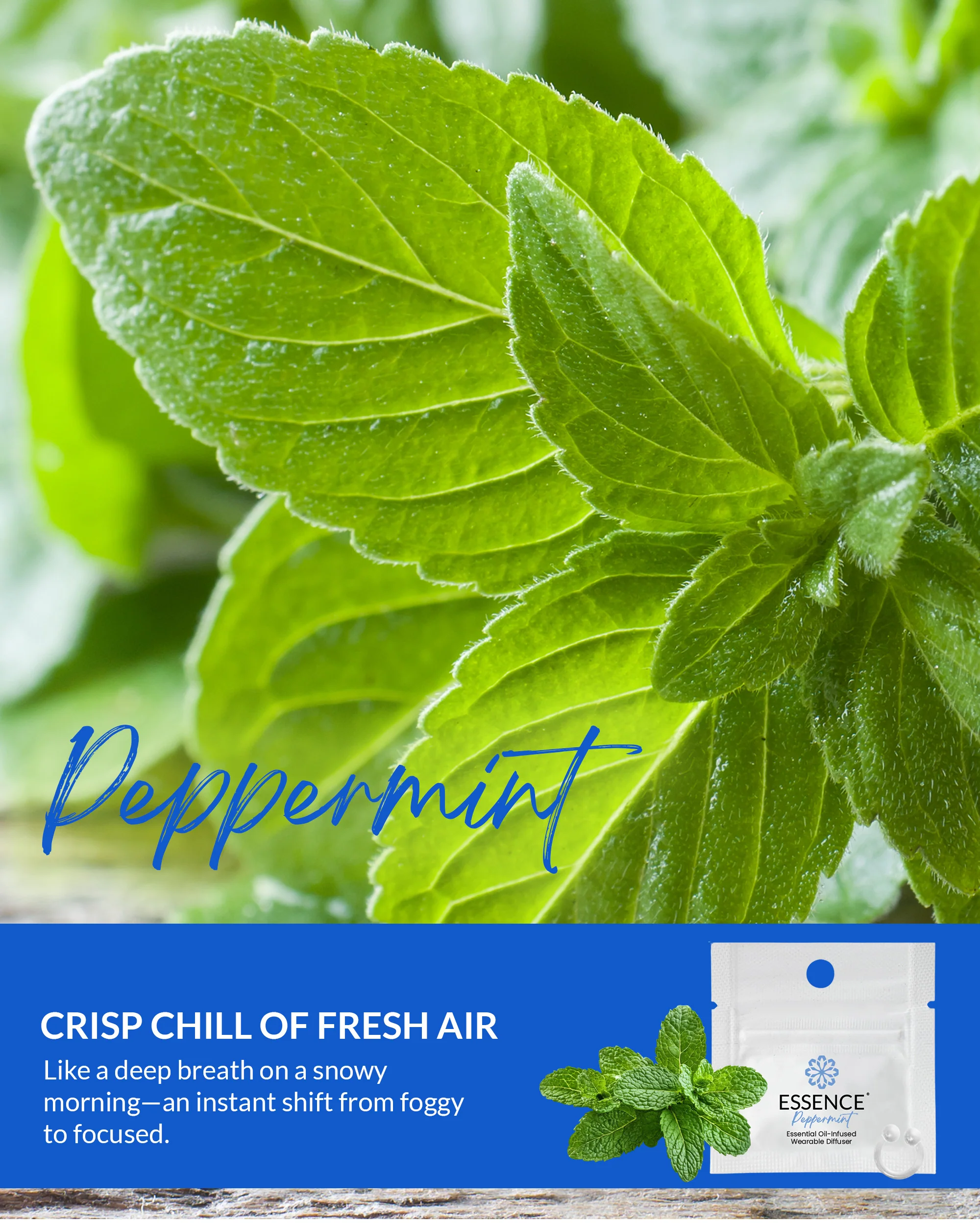 Peppermint Scent Nasal Diffuser Ring - Image 5