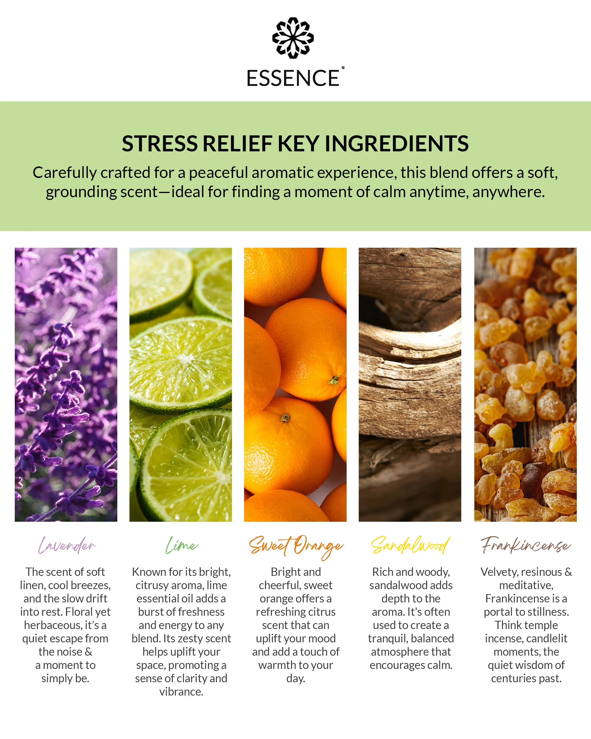 Stress Relief Blend Nasal Diffuser Ring - Image 5